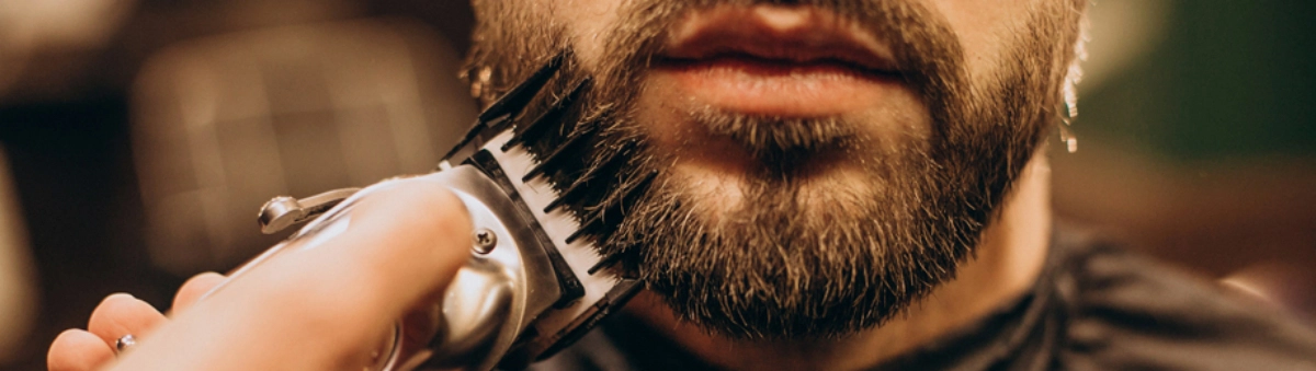 Modele de barba populare