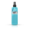 Salt Spray - SINEP - Texture 250 ml 